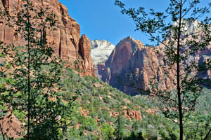 USA Zion<br>NIKON D4, 34 mm, 100 ISO,  1/160 sec,  f : 8 